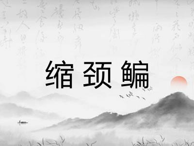 缩颈鳊