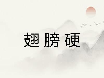 翅膀硬