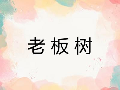 老板树