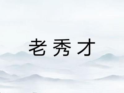 老秀才
