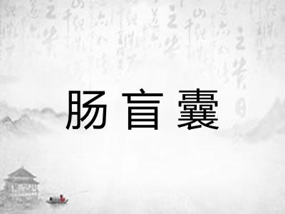 肠盲囊