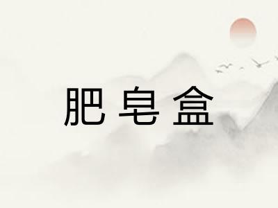 肥皂盒