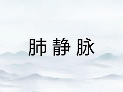 肺静脉