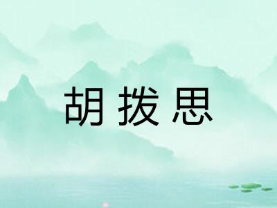 胡拨思