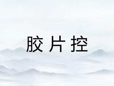 胶片控