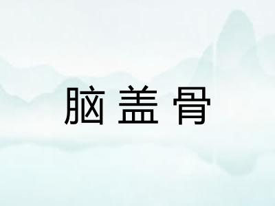 脑盖骨