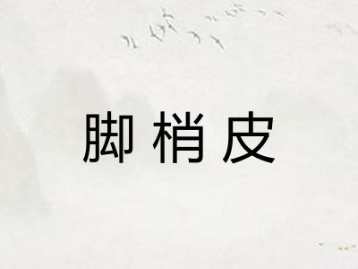 脚梢皮