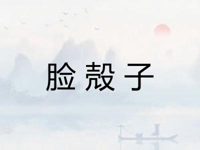 脸殻子
