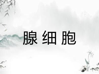 腺细胞
