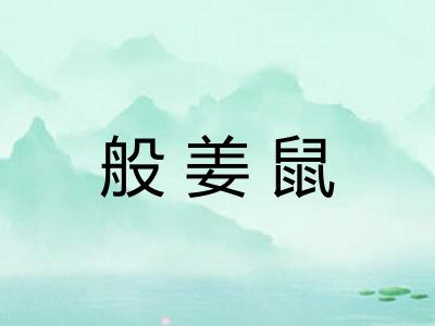 般姜鼠