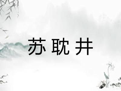 苏耽井