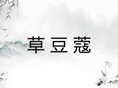 草豆蔻