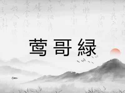 莺哥緑