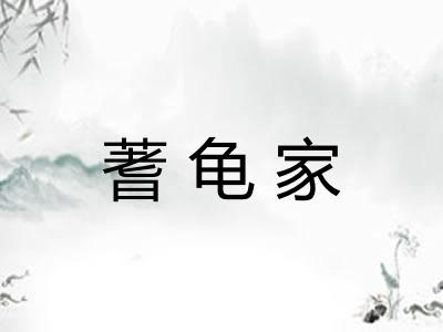 蓍龟家