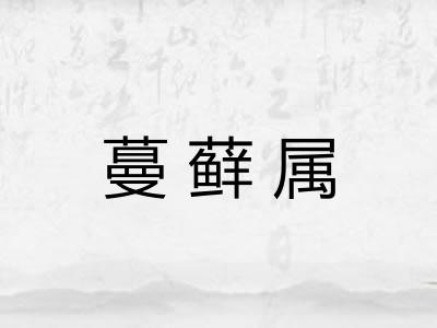 蔓藓属