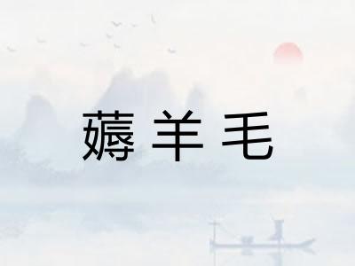 薅羊毛