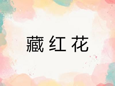 藏红花
