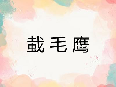 蛓毛鹰
