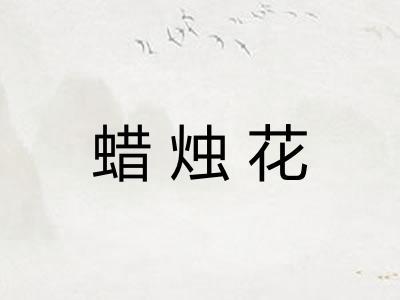蜡烛花
