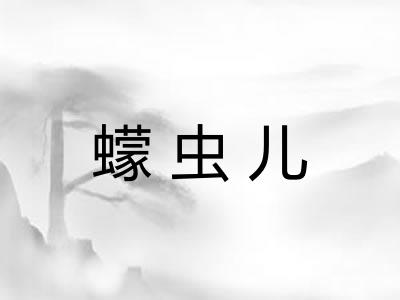 蠓虫儿
