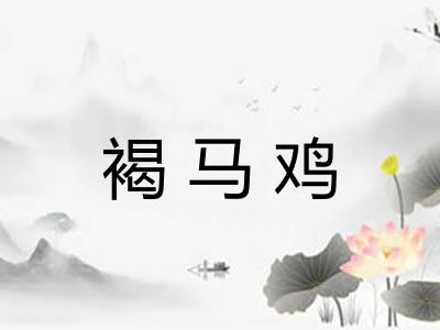 褐马鸡