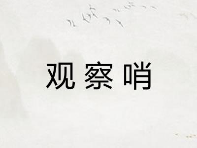 观察哨