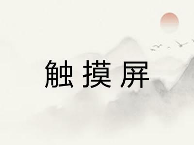 触摸屏