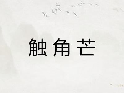 触角芒