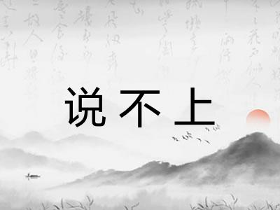 说不上
