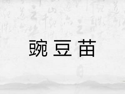 豌豆苗