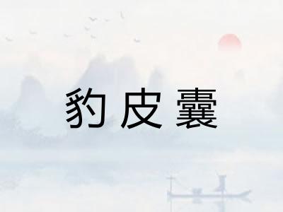 豹皮囊