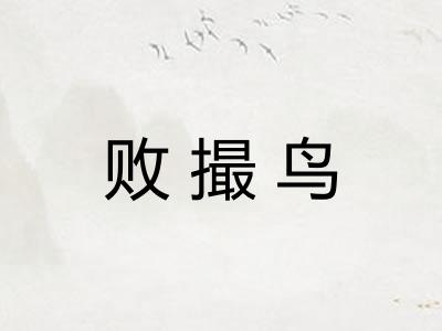 败撮鸟