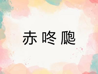 赤咚瓟