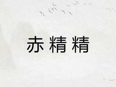 赤精精