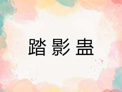 踏影蛊
