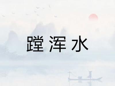 蹚浑水