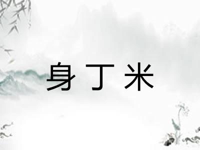 身丁米