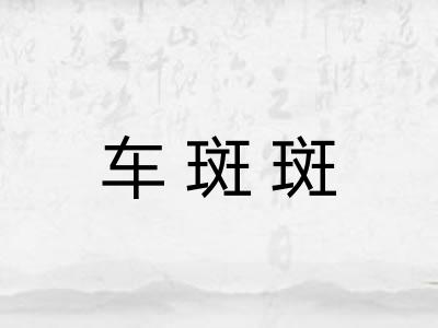 车斑斑