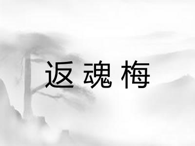返魂梅