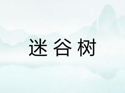 迷谷树