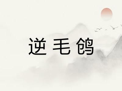 逆毛鸧