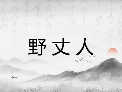 野丈人