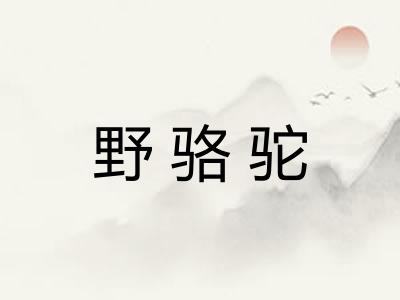 野骆驼