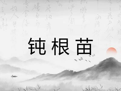 钝根苗