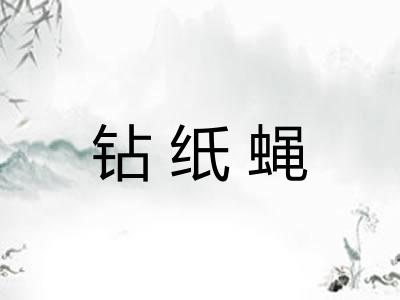 钻纸蝇