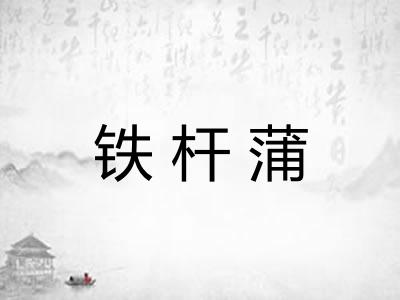 铁杆蒲