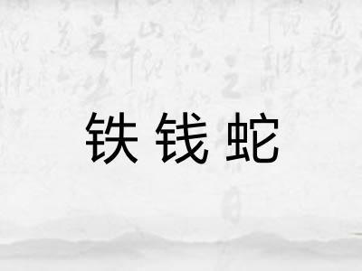 铁钱蛇
