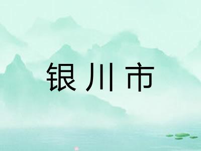 银川市