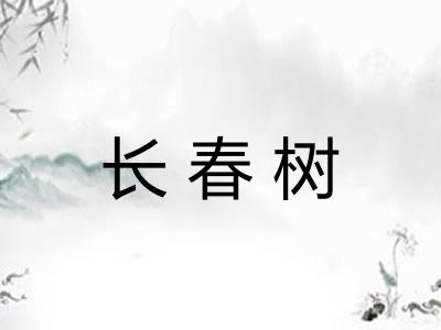 长春树