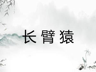 长臂猿